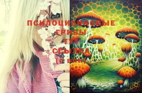 mix Нефтекумск